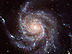 Spiral Galaxy M101